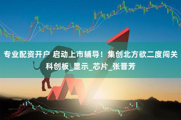 专业配资开户 启动上市辅导！集创北方欲二度闯关科创板_显示_芯片_张晋芳